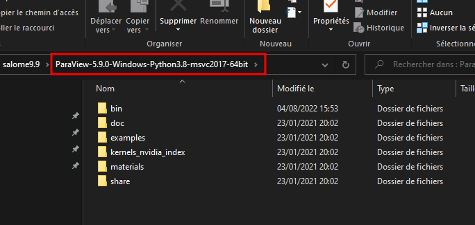 Paraview 5.9 content